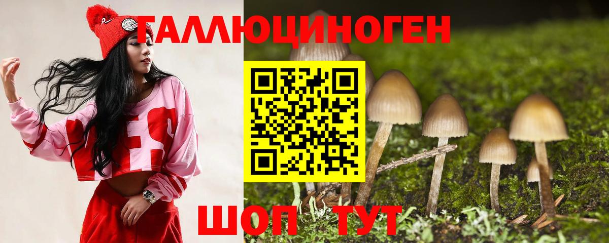 Псилоцибиновые грибы MAGIC MUSHROOMS Кудрово